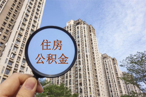 伊川帮提取公积金是不是诈骗（那些帮人提取公积金的机构可信吗）